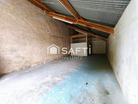 photo no. 12