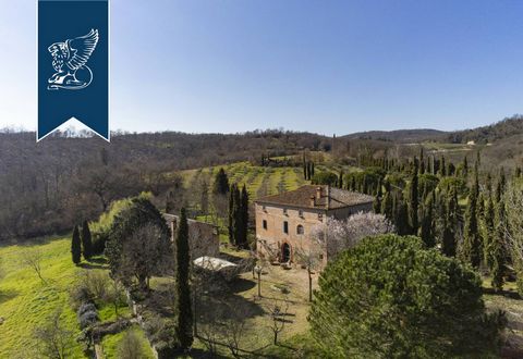 In the town of Sinalunga, near Siena, there is this stunning luxury farmhouse for sale. This luxury property dates back to the 1700s, has three floors and measures 600 sqm. Surrounded by Siena's enchanting countryside, this stunning estate inclu...