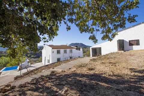 Spanish farmhouse, set in the middle of almond and olive trees. From the main road it is a further 10 minute drive along a winding concrete path. The entrance gate opens to a private driveway flanked by trees, in particular the protected “algarrobo” ...