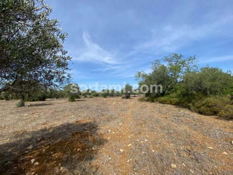 Plot of land with the possibility to make a caravan park in São Brás de Alportel. It has the possibility of having fifty-six parking spaces, reception with laundry and bathroom with showers. The land is flat with many trees and is very well located. ...