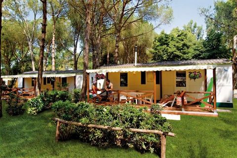 The camping pitches and the various chalets are scattered around the large park in the shade of the pine trees. You can choose from different types of chalets and bungalows at Baia Domizia Camping Village. All types have a lovely terrace with garden ...