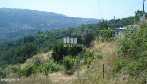 Land well located with an area of 2 590 m2. Good access and excellent sun exposure. Ref.:MC03471. FEATURES: Land Area: 2 590 m2 Area: 2 590 m2 Useful Area: 2 590 m2 Energy Efficiency: Exempt ENTREPORTAS Founded in 2004, the ENTREPORTAS group with mor...