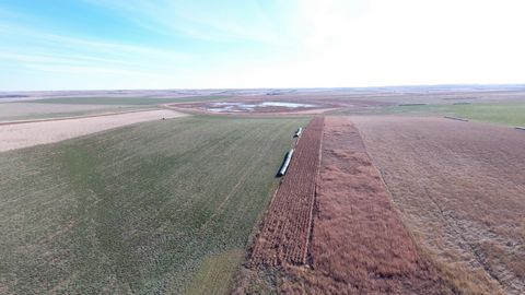 South Dakota is known for its excellent hunting opportunities, including deer, pheasants, waterfowl, and more. If you're interested in purchasing 160 acres of hunting land in South Dakota, look no further than this remote quarter located just a few m...