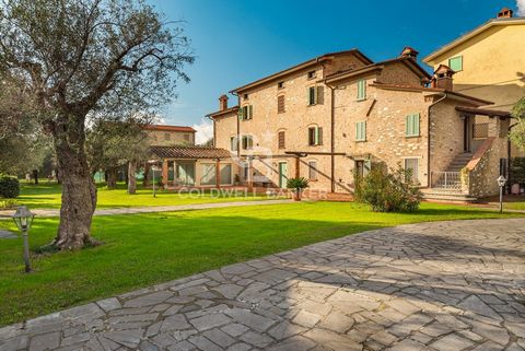 In the heart of Versilia, a charming stone farmhouse surrounded by land of approximately 9 thousand meters planted with centuries-old olive trees. The property has origins dating back to the 18th century and was the subject of a major renovation in t...