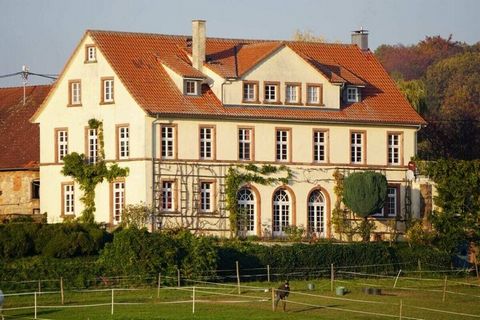 Het vakantieappartement Winklerhof is gevestigd in het landhuis van een landgoed uit 1834 en biedt een fantastisch uitzicht over weilanden en boomgaarden van het noordelijke Zwarte Woud. Veel licht, stijlvol meubilair en doordachte inrichting zorgen ...