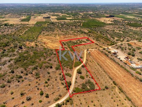 - Terreno com 19.800 m², com cultura arvense, alfarrobeiras e amendoeiras - Acesso por estrada alcatroada e junto a boas infraestruturas - Localiza-se em S. Bartolomeu de Messines, entre as zonas de Zimbreira e Cano - Pode ser vendido em parcelas: --...