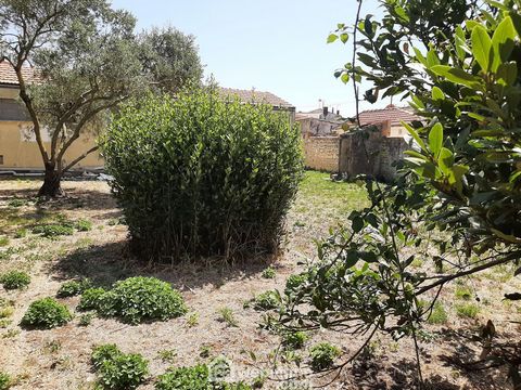 photo no. 2