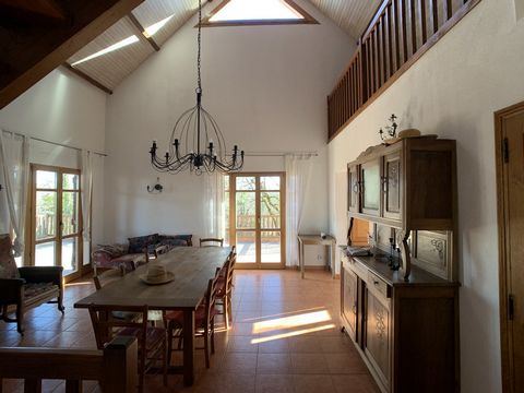 photo no. 6