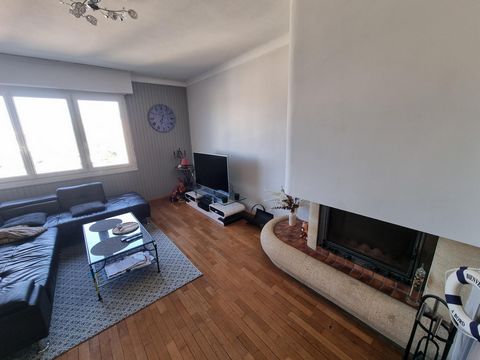 photo no. 8
