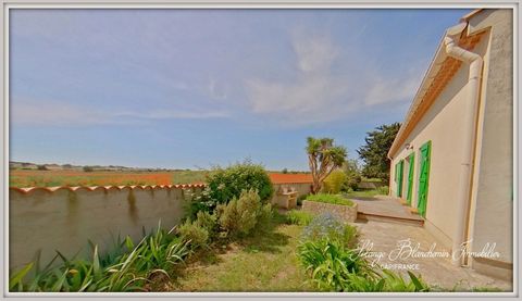 Maison T4 Plain-pied 100 m² + Combles aménageables Terrain 627 m² Colombiers (34)?