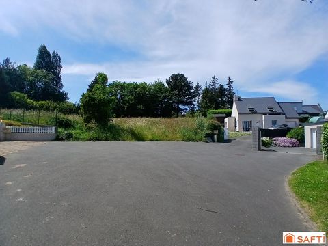 photo no. 2