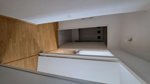 photo no. 9