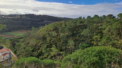 Venha conhecer este terreno rústico com 6812m², localizado em Fonte Boa da Brincosa, na freguesia da Carvoeira, a escassos minutos da charmosa vila da Ericeira e das suas praias. Inserido em zona de Espaços Naturais e Paisagísticos, conforme o Plano ...