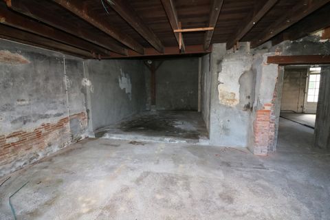 photo no. 11