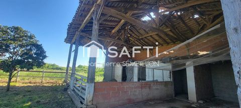 photo no. 15