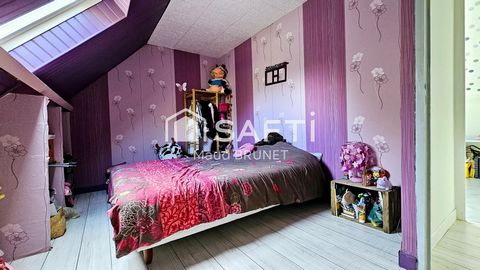 photo no. 8