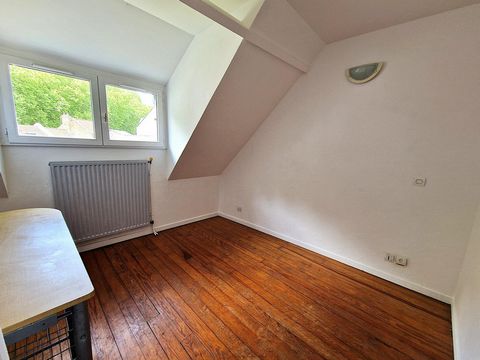 photo no. 6