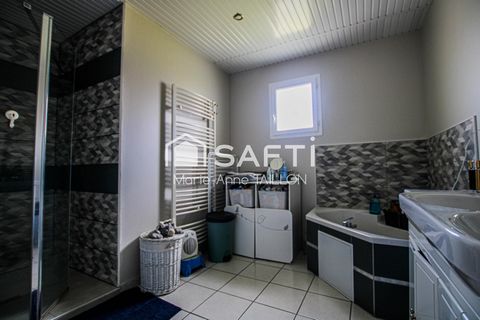 photo no. 6
