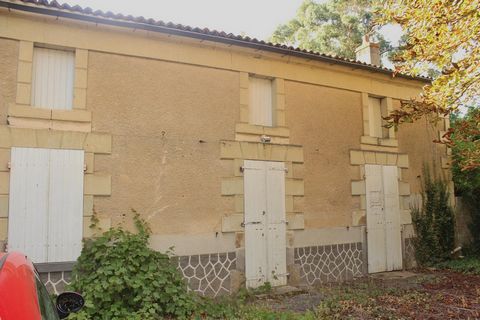photo no. 9