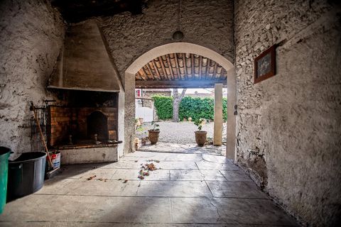 photo no. 8