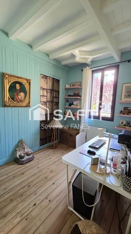 photo no. 6