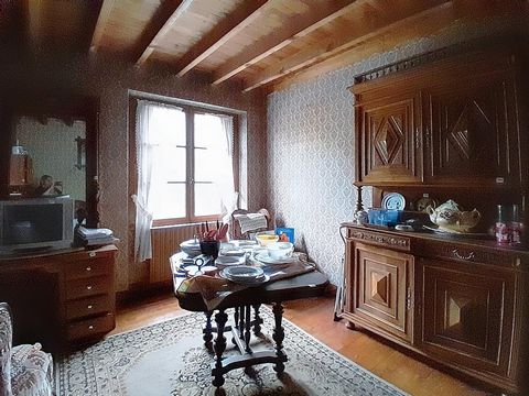 photo no. 7