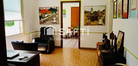 photo no. 12