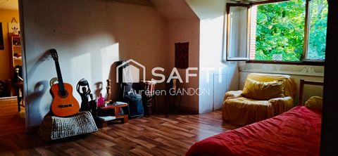 photo no. 13