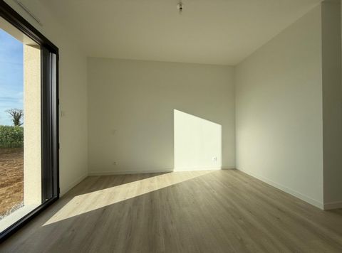 photo no. 8