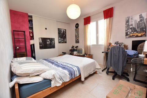 photo no. 11