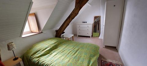 photo no. 11