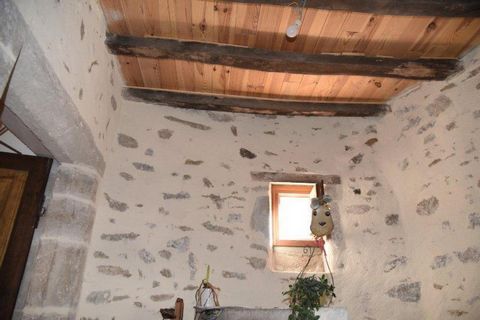 photo no. 10
