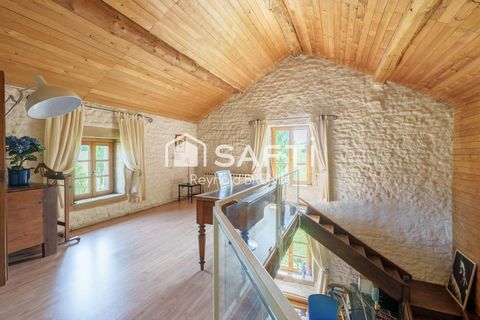photo no. 11