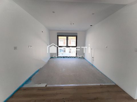photo no. 8