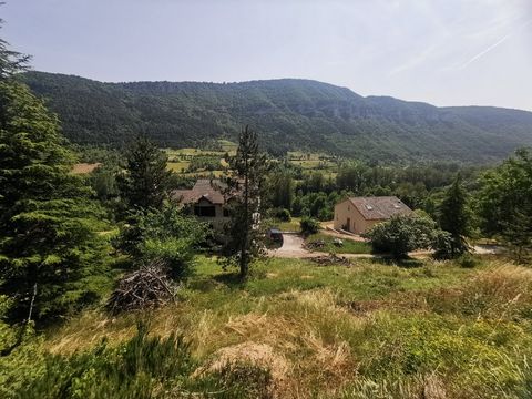 photo no. 6