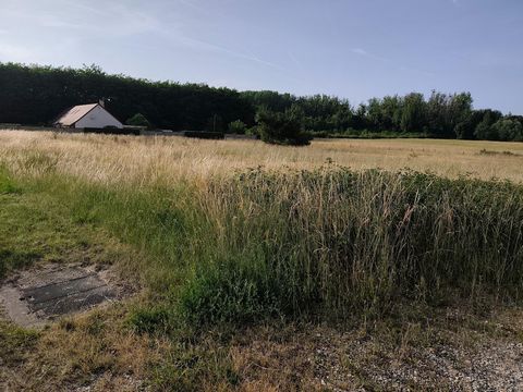 Grand terrain constructible à Mareuil-sur-cher proche Saint Aignan