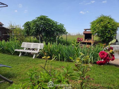 photo no. 16