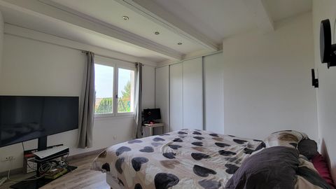 photo no. 6