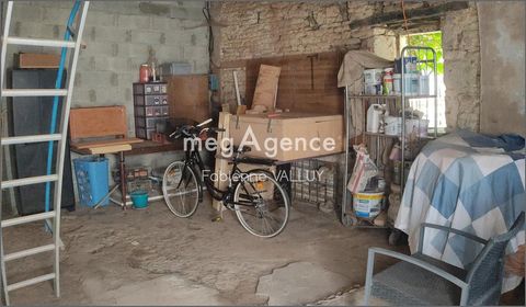 photo no. 13