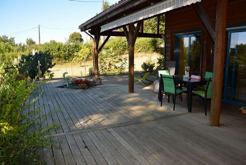 photo no. 4