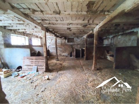 photo no. 12