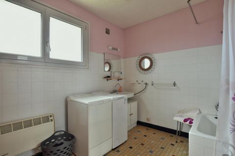 photo no. 6