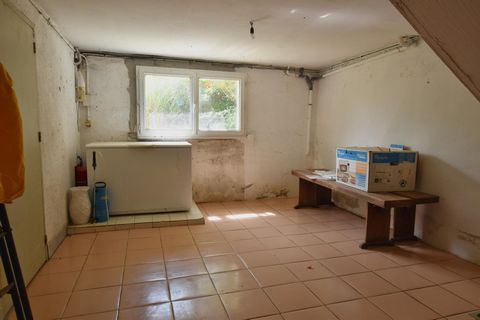 photo no. 13
