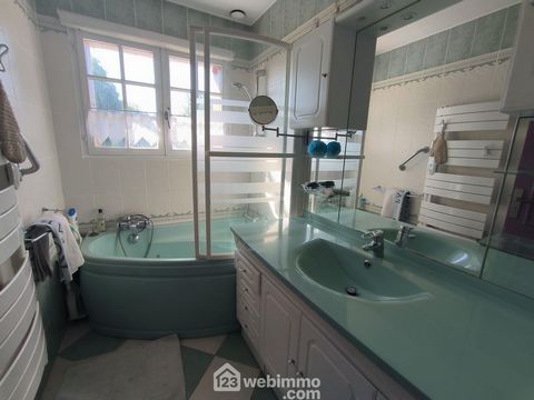 photo no. 11