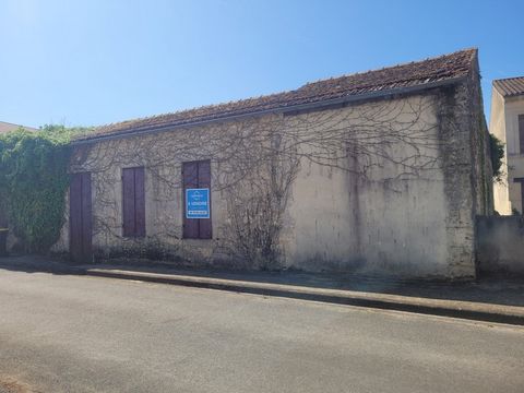 photo no. 2