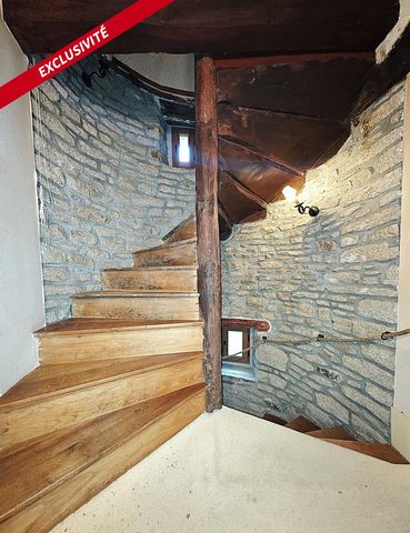 photo no. 4