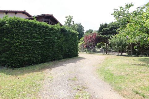 photo no. 3