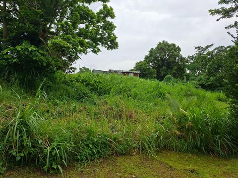 photo no. 4
