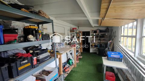 photo no. 6
