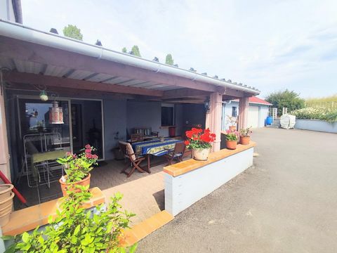 photo no. 12